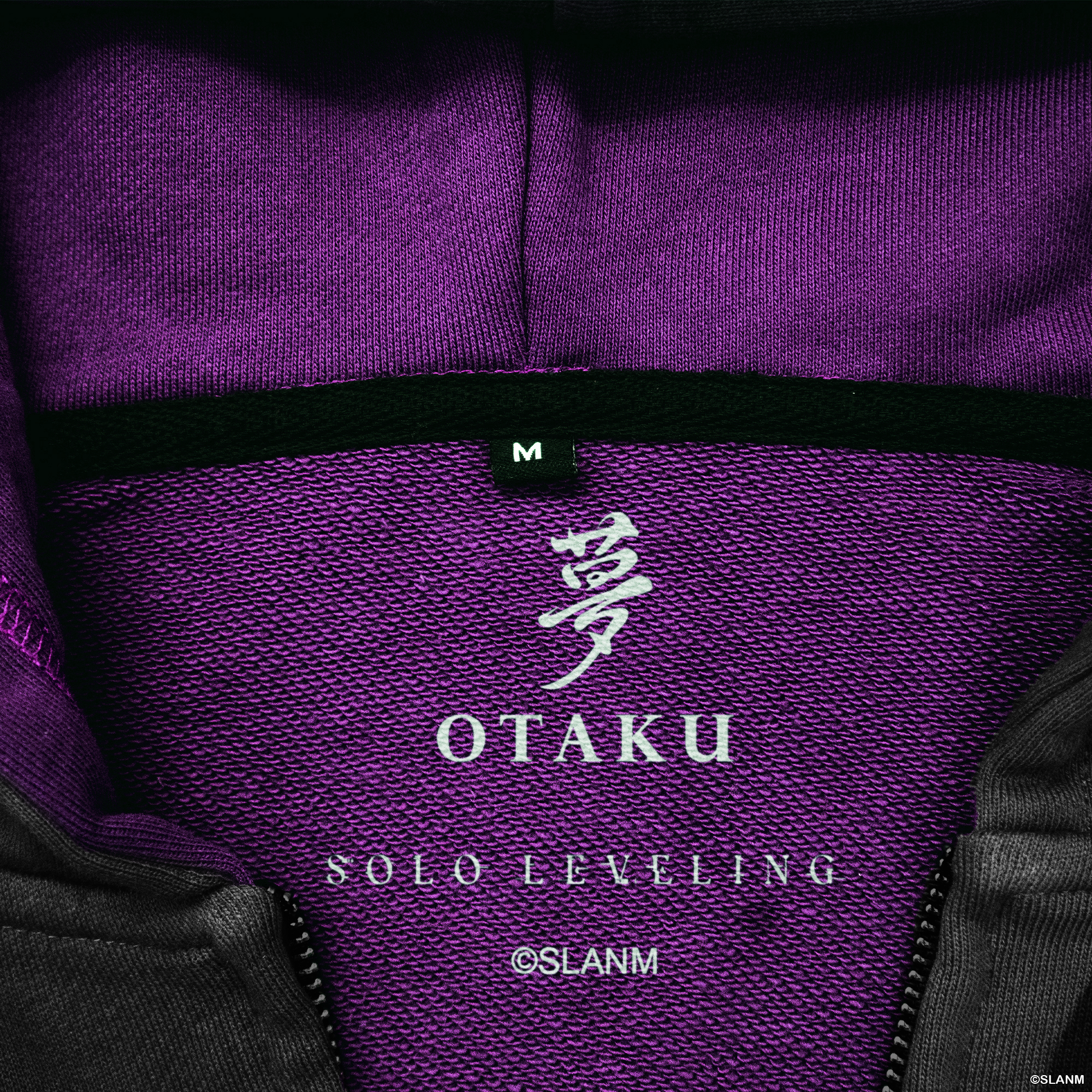 Shadow Igris Silhouette Zip-Up Hoodie (Solo Leveling)