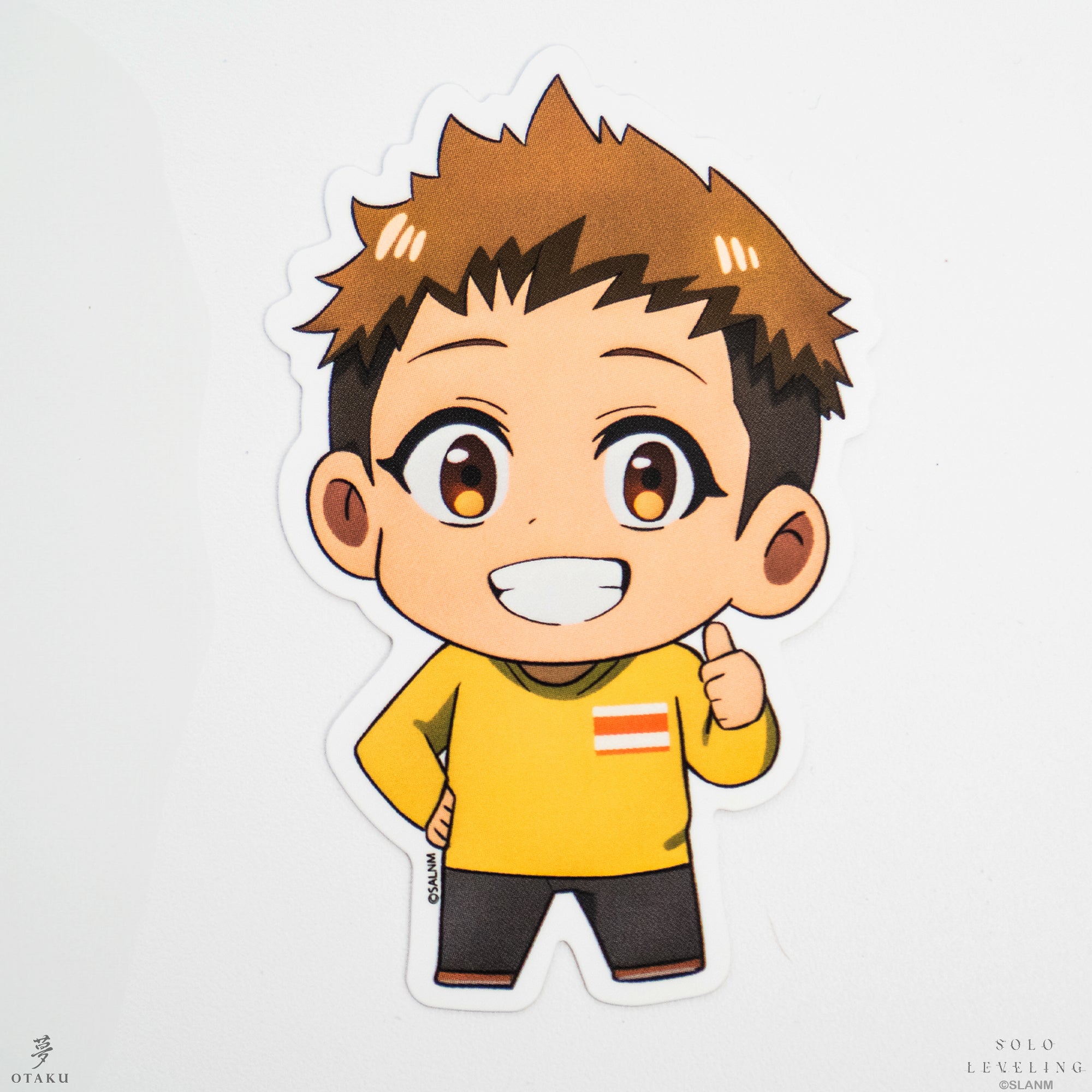 Solo Leveling Sticker Pack (Solo Leveling)