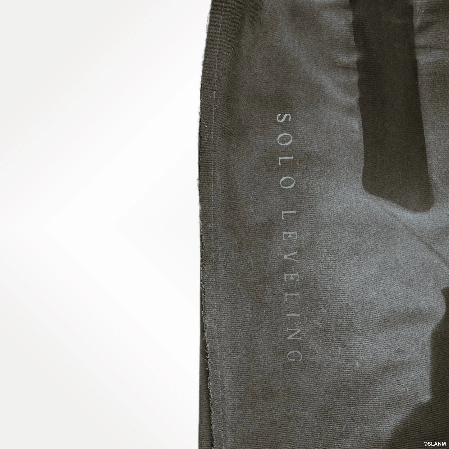 Sung Jinwoo Dagger Cargo Pants