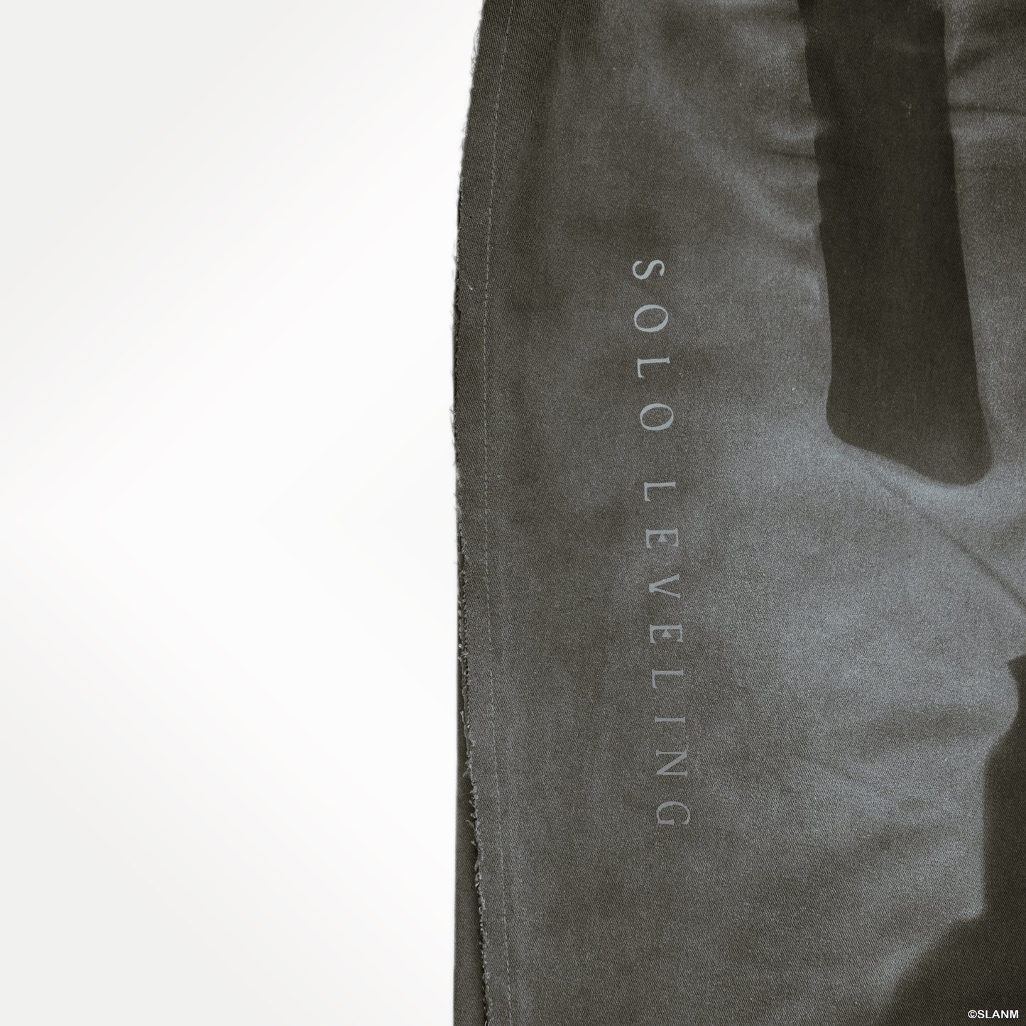 Sung Jinwoo Dagger Cargo Pants