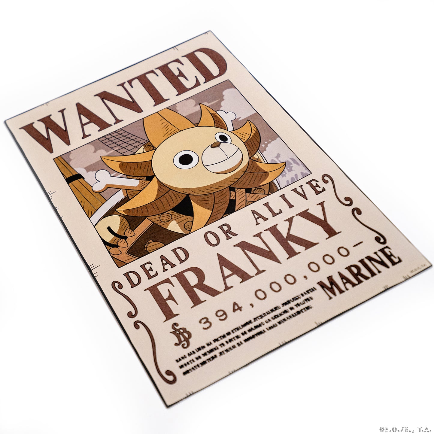 Metal Wanted Poster Set 2
