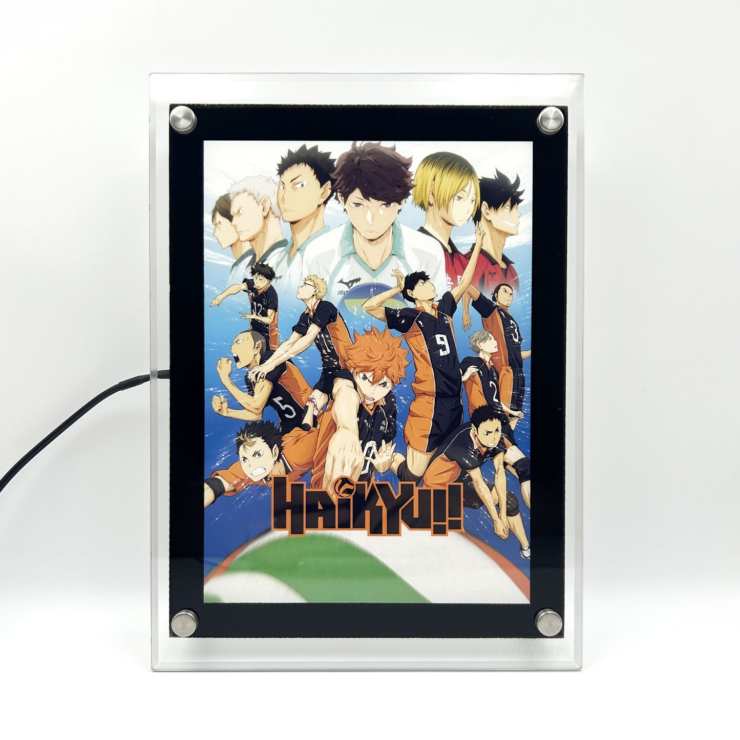 Karasuno Team LED Poster