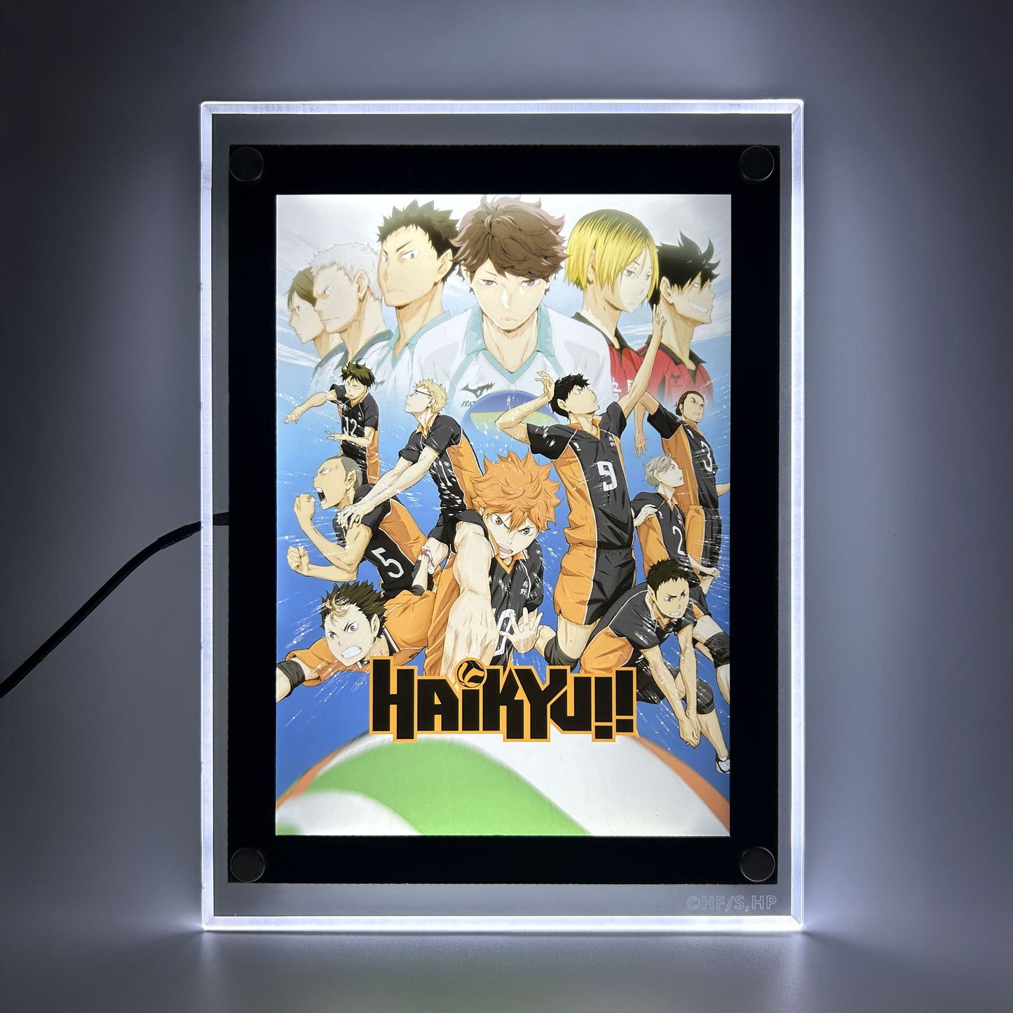 Karasuno Team LED Poster