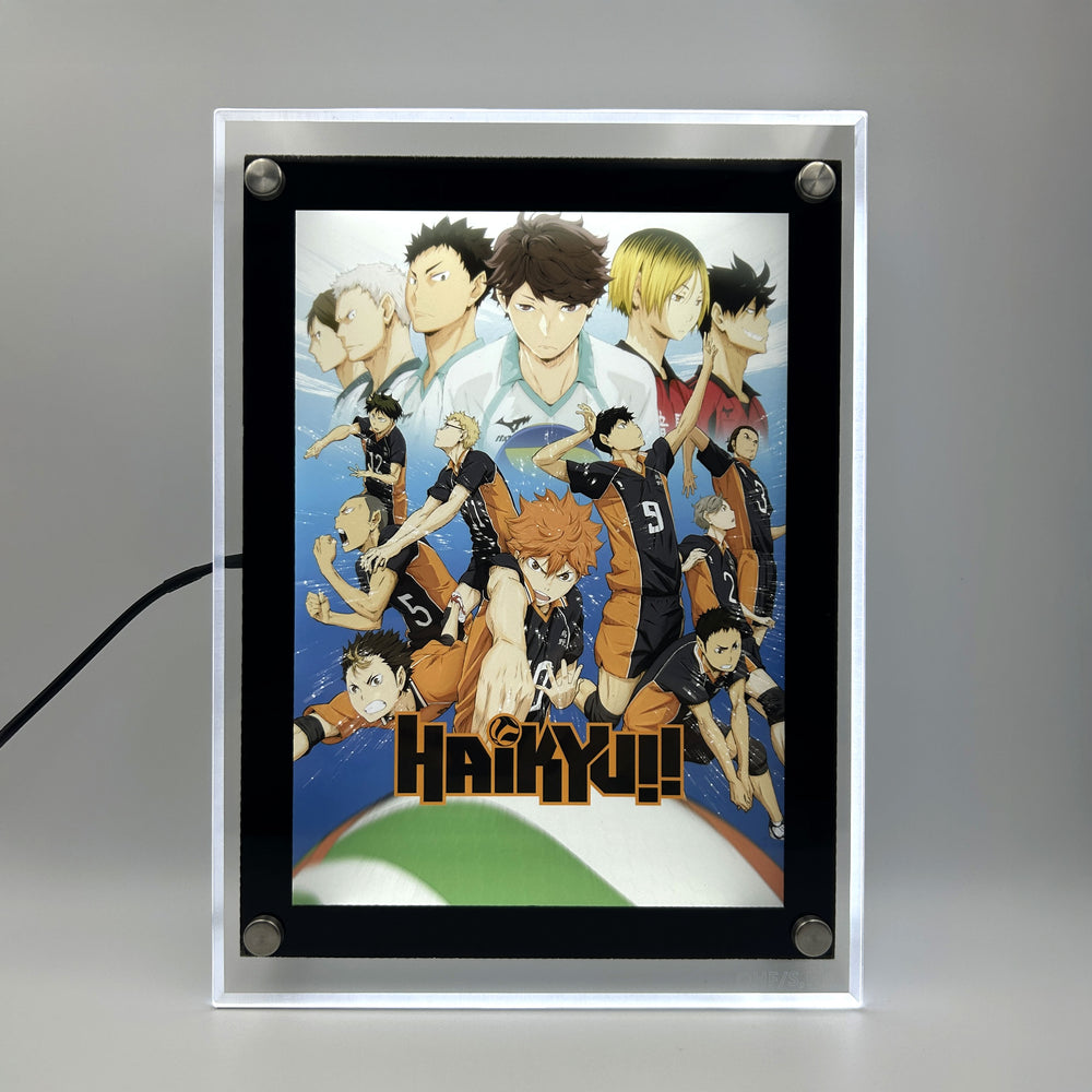 Karasuno Team LED Poster