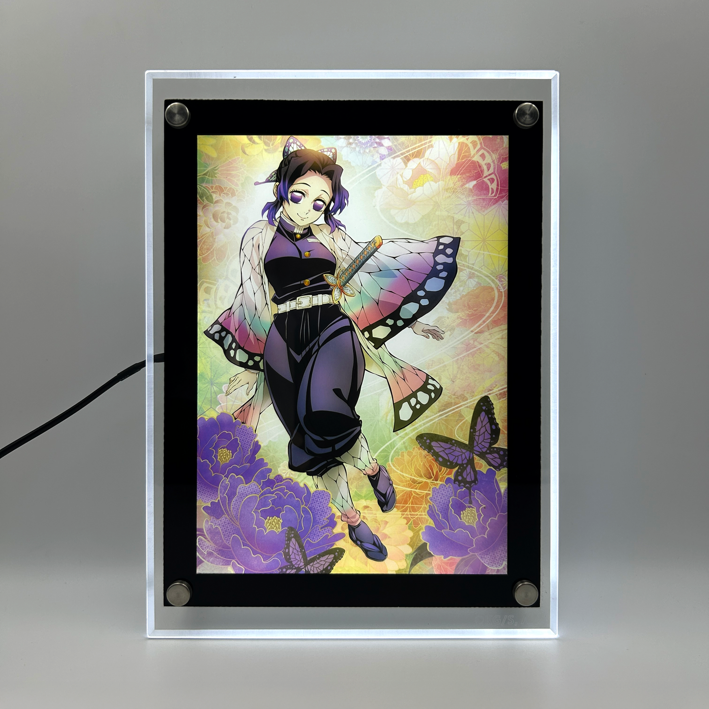 Shinobu LED Poster