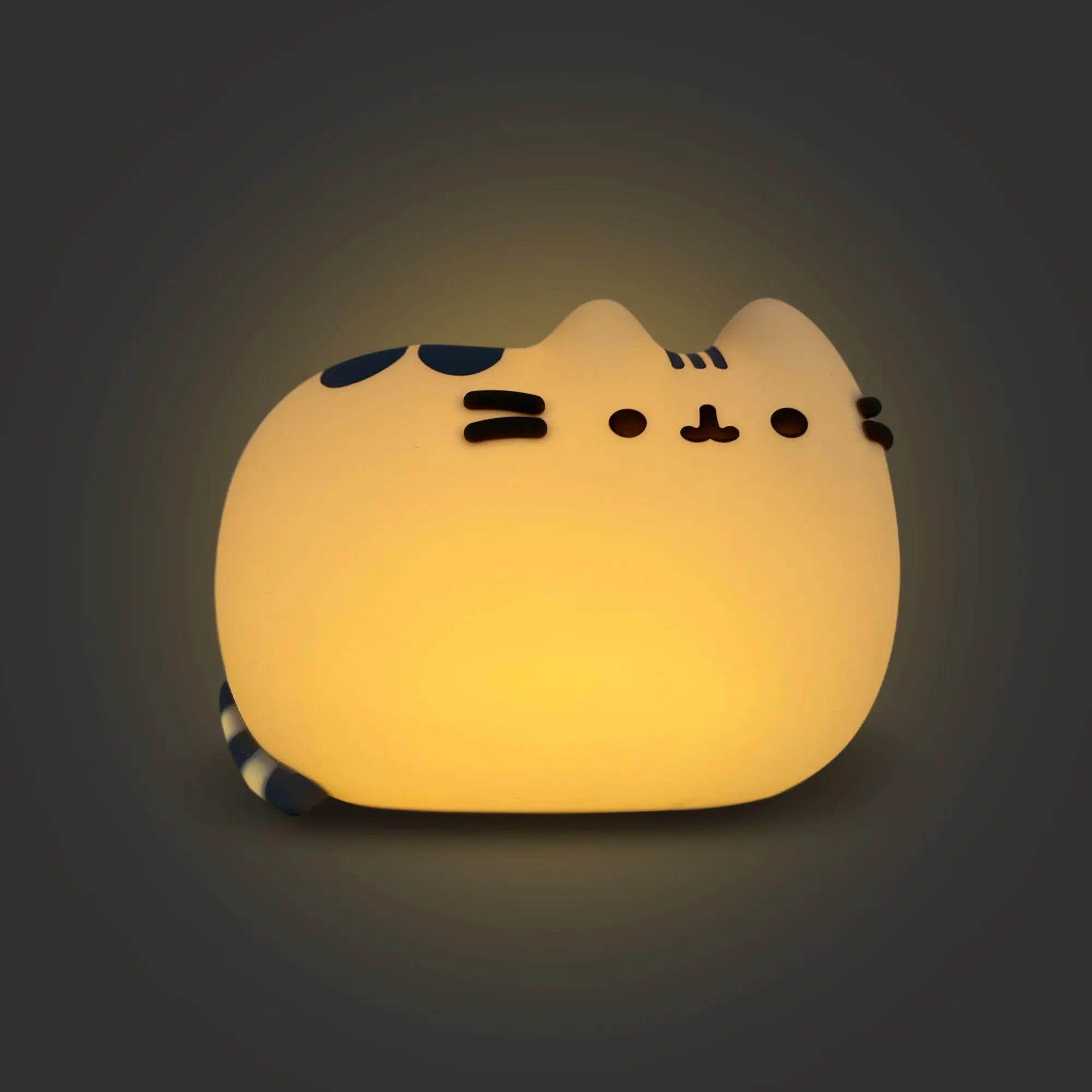Pusheen 3D Lamp