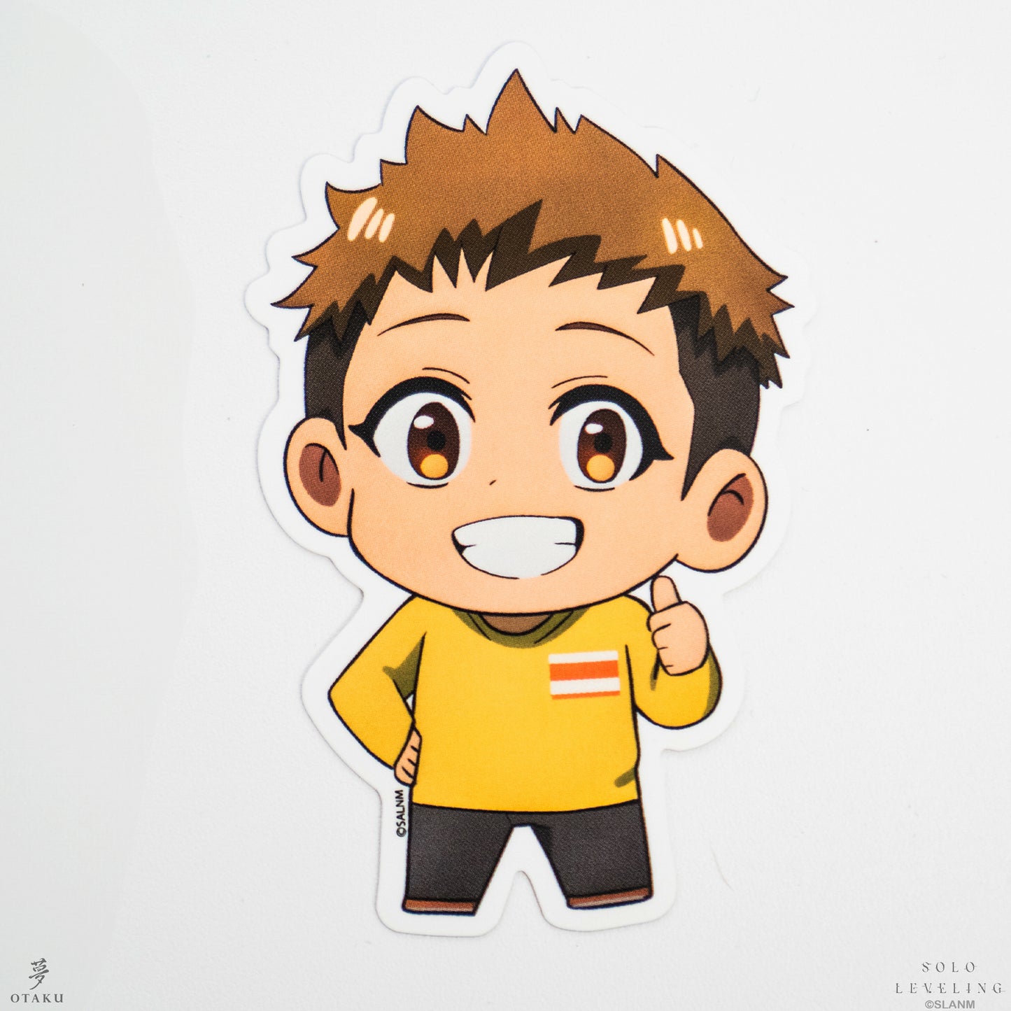 Solo Leveling Sticker Pack