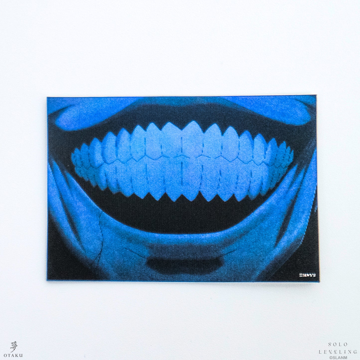 Solo Leveling Sticker Pack